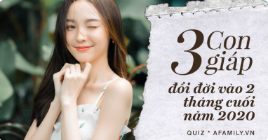 screenshot_1608265684