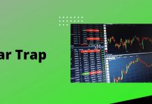 Bear Trap: Hiểu đúng, nhận biết sớm và chiến lược phòng tránh hiệu quả